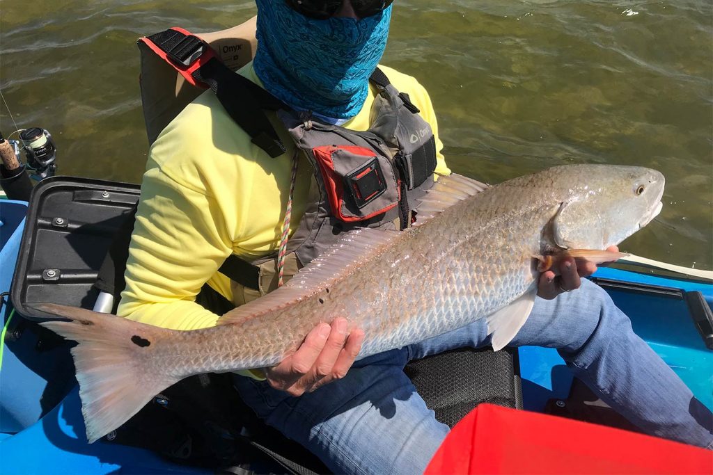 A picture of a Redfish being held by a kayak fisherman inshore from Destin