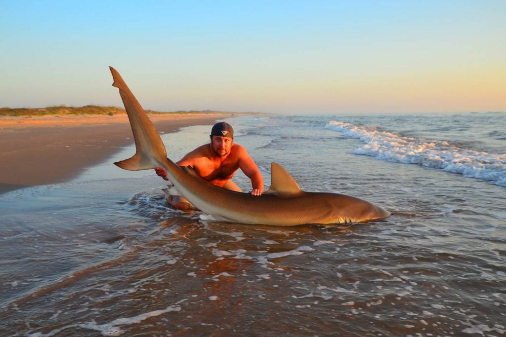 A man holding a large Shark in the sand of Padre Island