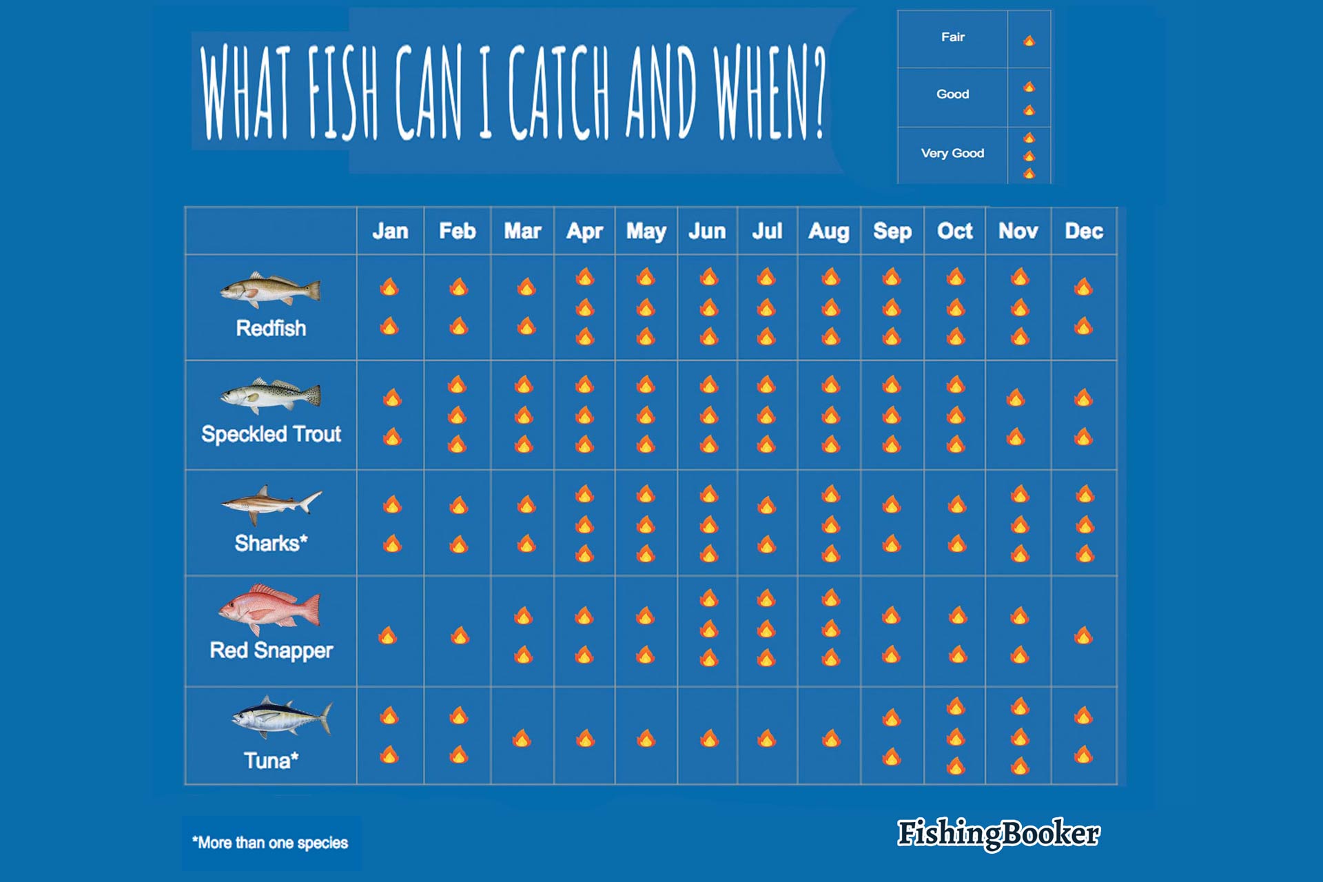 Rockport, Texas Fishing The Complete Guide (Updated 2022)