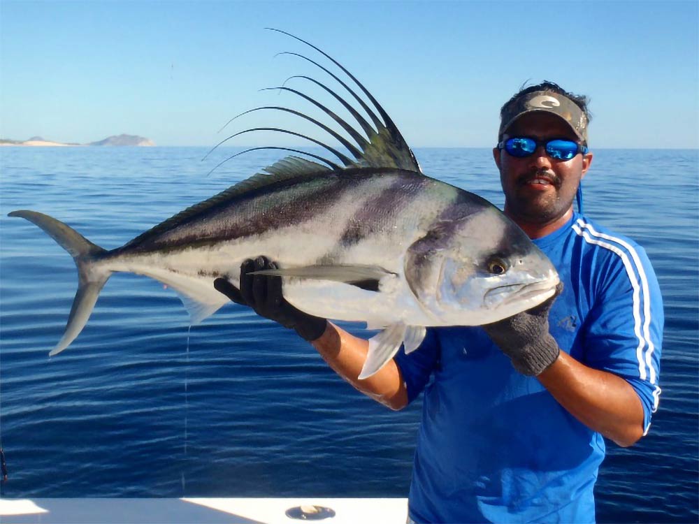 fishing charters la paz