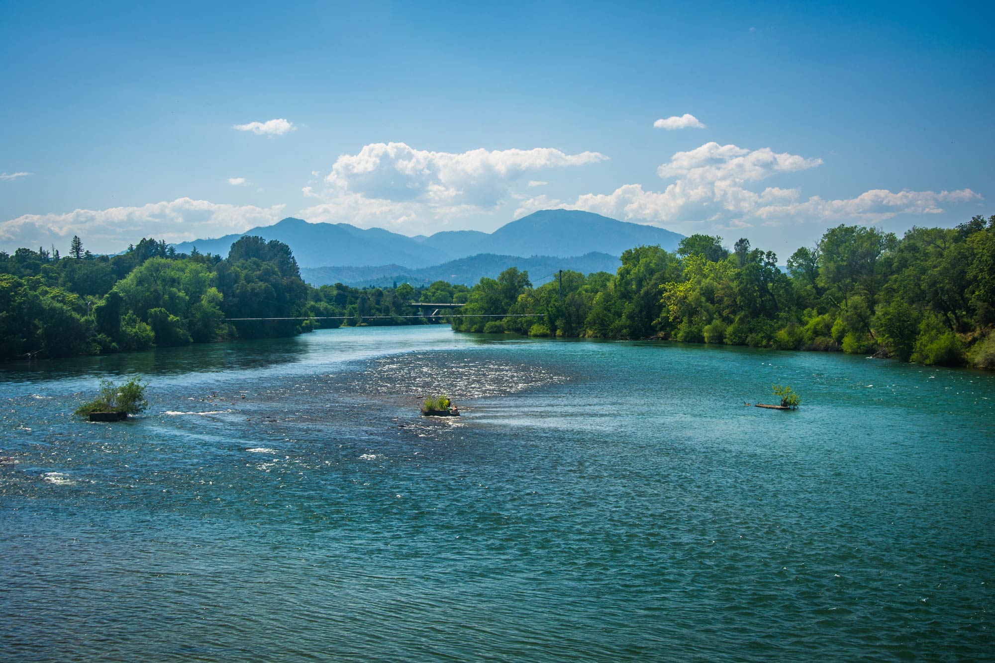 Sacramento River Fishing: The Complete Guide