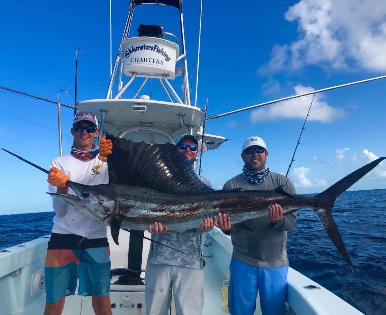 Sailfish vs. Swordfish All You Need to Know (Updated 2023)