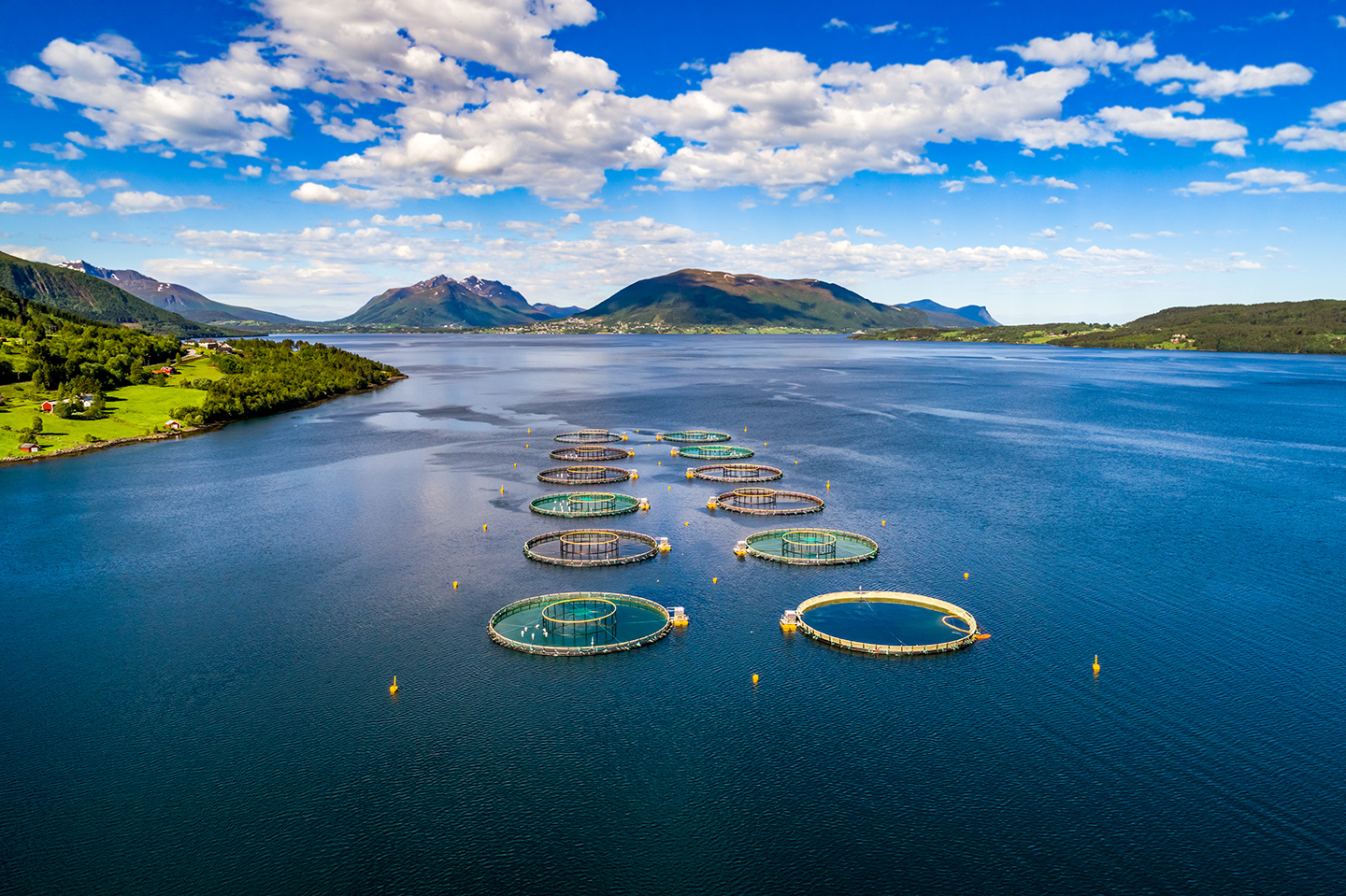 Uma vista aérea de uma exploração de salmão em águas abertas na Noruega