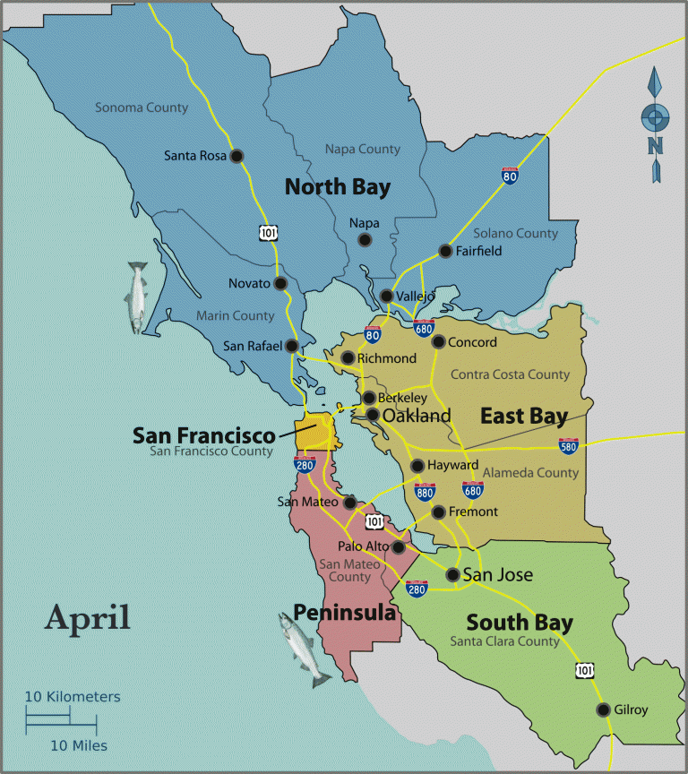 A Complete Guide to Salmon Fishing in the Bay Area