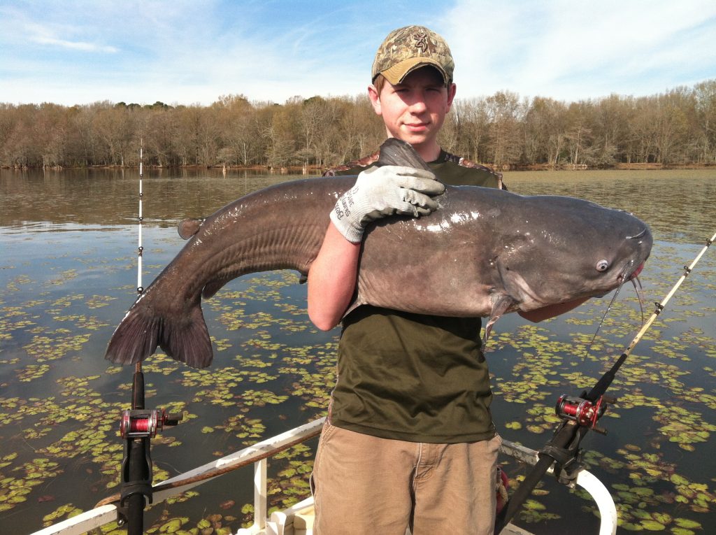 Burning-hot bream fishing at Little Pee Dee River