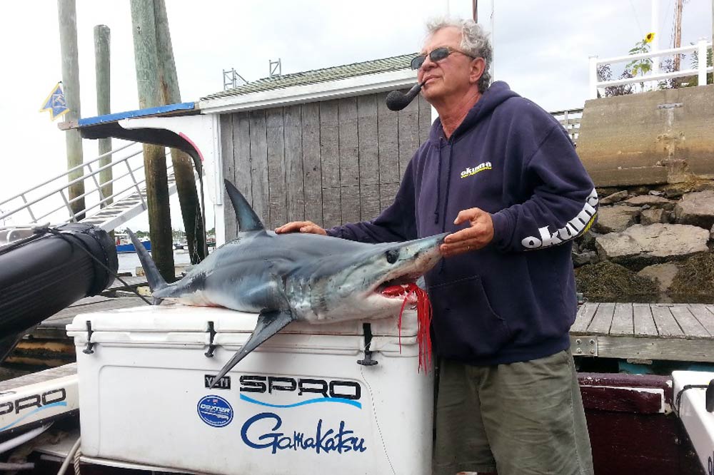 Mako Shark Fishing in Newburyport, MA - FishingBooker