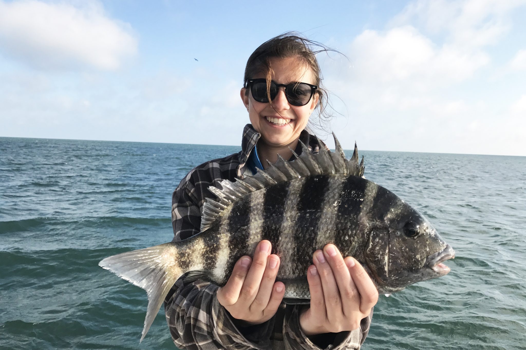 show me a picture of a sheepshead fish