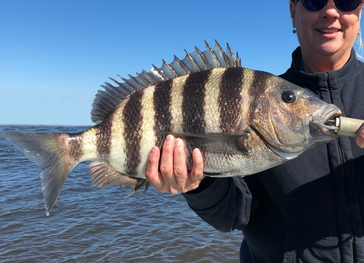 Man holding a Sheepshead on a boat on a sunny day