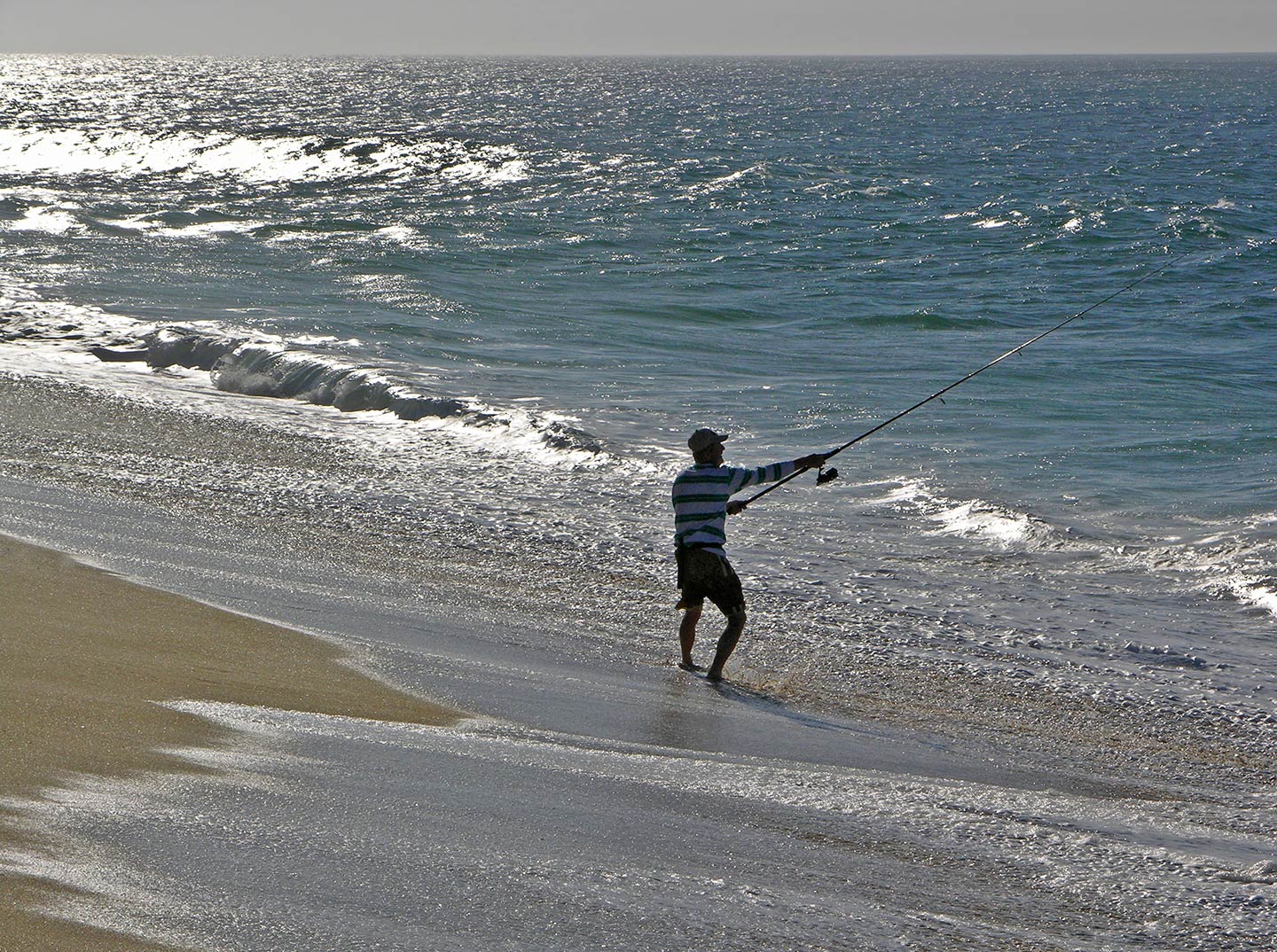 la paz fishing trips