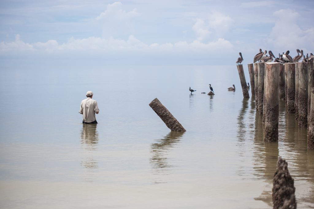 Um pescador de peixe ao redor dos "Posts" - um popular ponto de pesca costeira em Nápoles, FL."the Posts" – a popular shore fishing spot in Naples, FL.