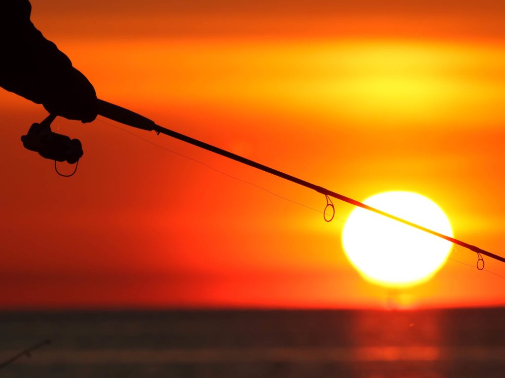 Lake Erie Fishing: The Complete Guide (Updated 2023)