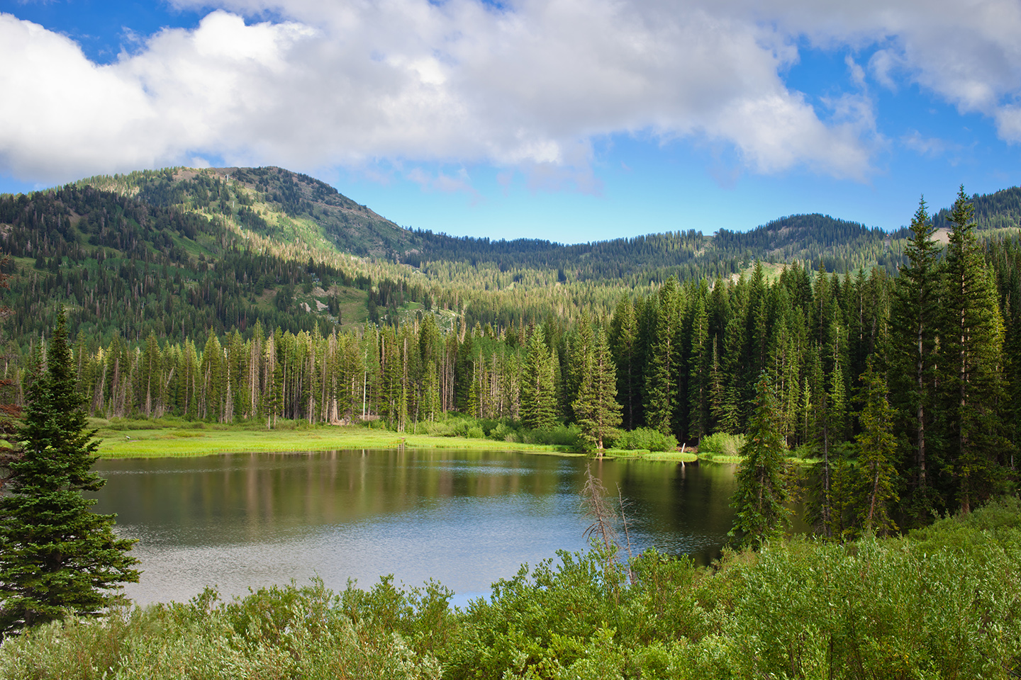 Fishing near Salt Lake City: 6 Great Spots