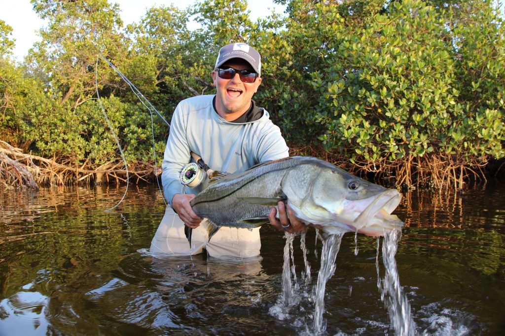 Ein Sportfischer steht in hüfthohem Wasser zwischen Mangroven. Der Angler hält einen großen Snook in der Hand, dem das Wasser aus dem Maul läuft.