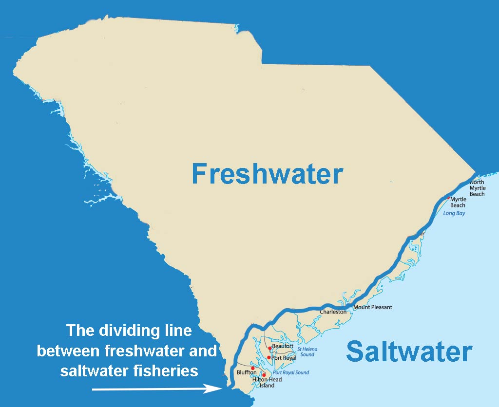 An infographic showing the dividing line between freshwater and saltwater fisheries on a map of South Carolina