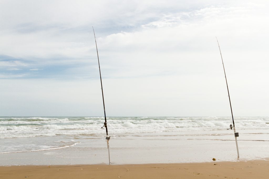  South Padre Island Fishing The Complete Guide