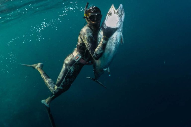 How to Go Deep Sea Fishing in San Diego The Complete Guide (Updated 2023)