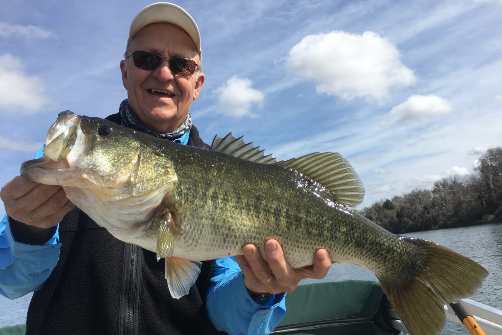 A happy angler holding a trophy Largemouth Bass caught while fishing on a lake in spring