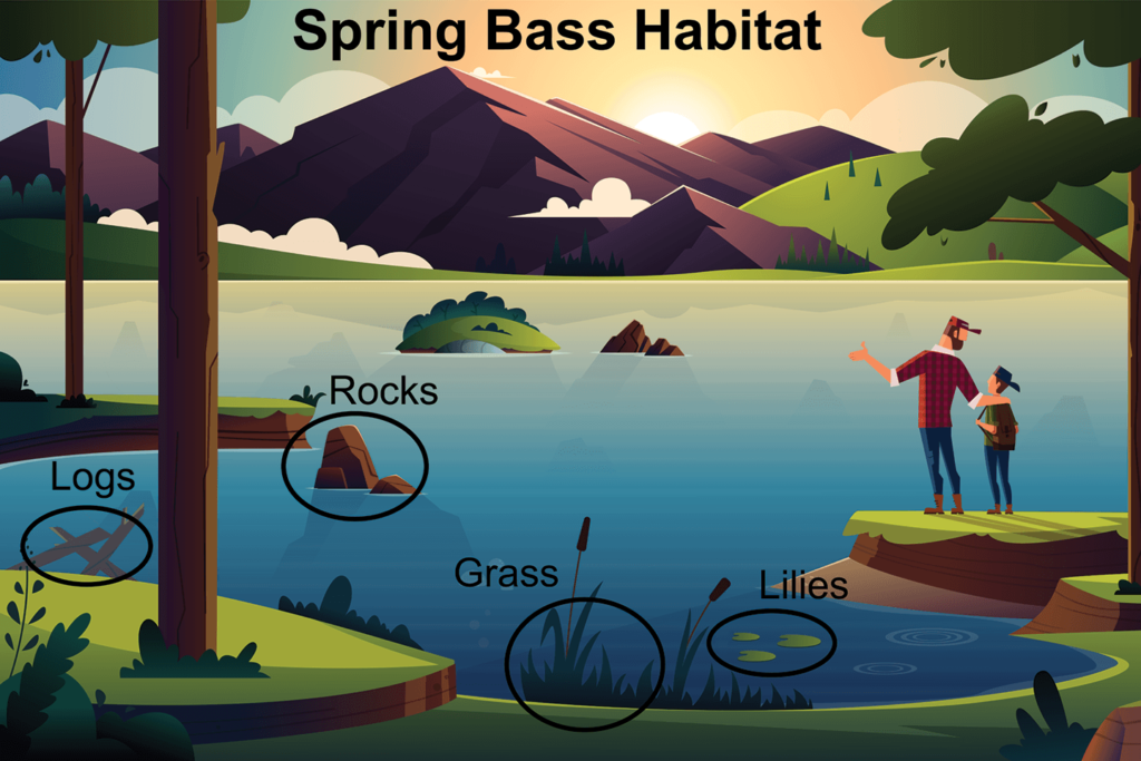 An graphic of a lake highlighting the top spring bass fishing spots, with rocks, logs, grass, and water lilies all highlighted as the top habitat for spawning largemouth bass