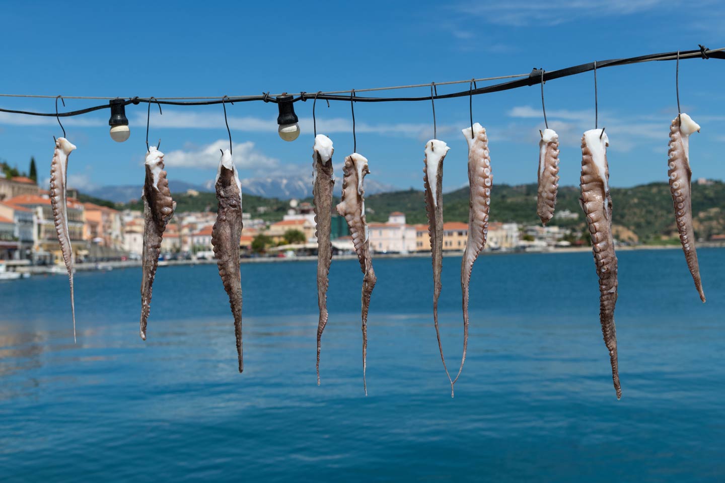 Greece Fishing The Complete Guide (Updated 2023)