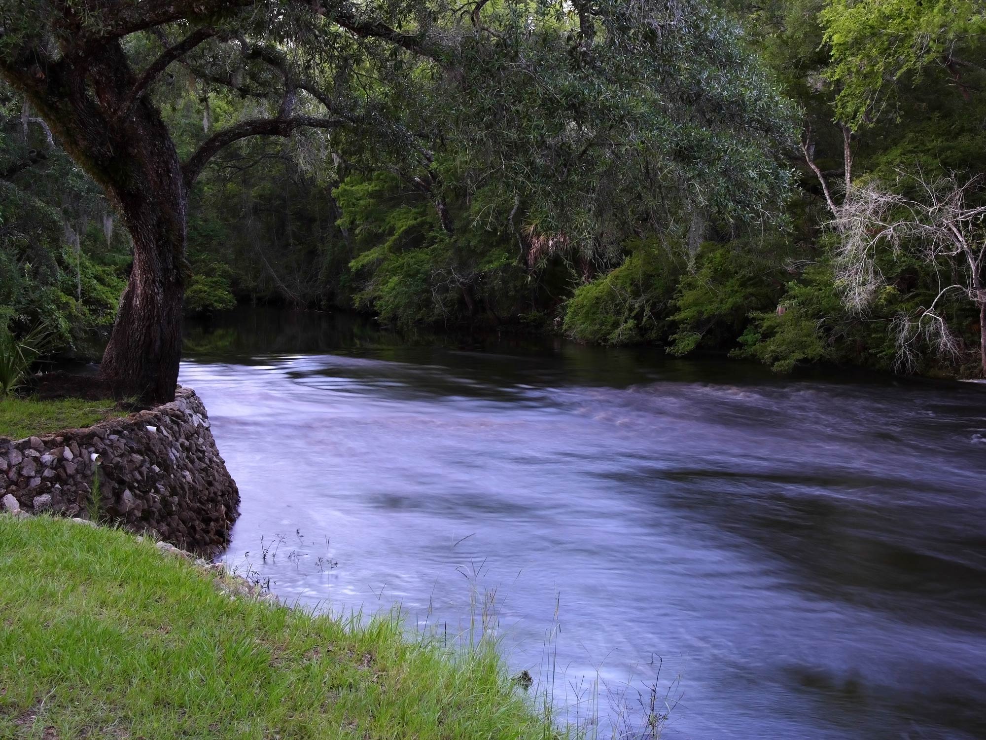 Een prachtige visstek aan de Steinhatchee rivier