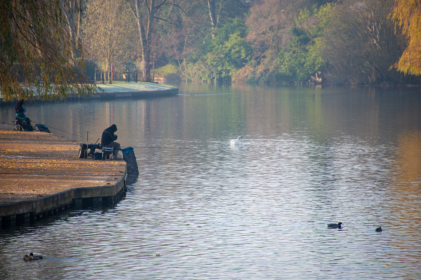 fishing trips london