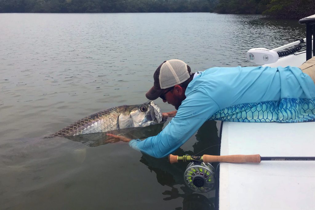 Ein Angler lehnt sich über die Bordwand eines Bootes zum Plattfischen, um einen großen Tarpon nach dem Fang vom Haken zu befreien. Eine Fliegenrute liegt auf dem Deck des Bootes.