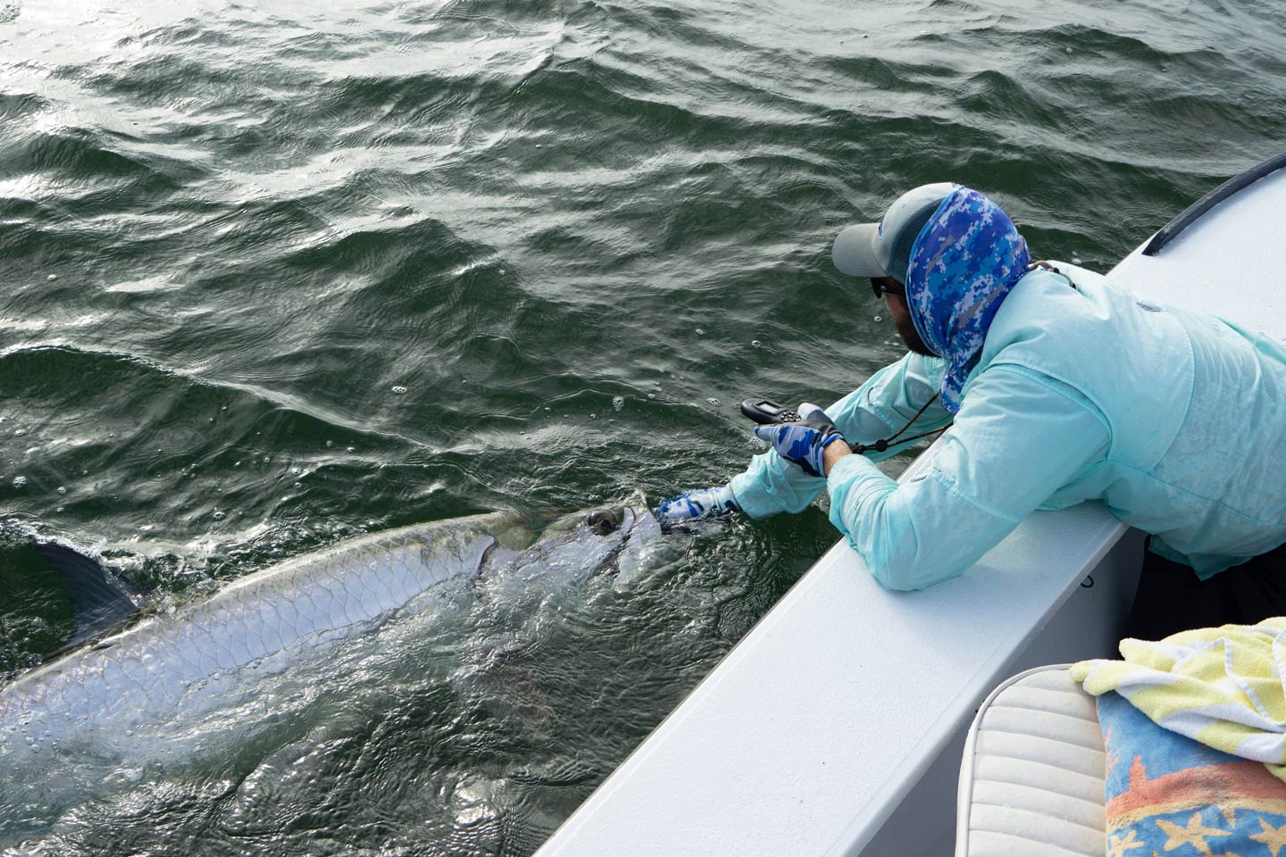 A woman holding a Tarpon on a boat in Florida