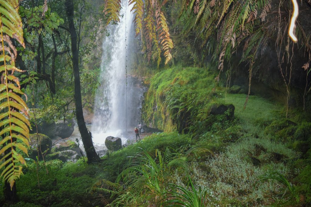 people standing next to the beautiful waterfalls in the aberdare mountains