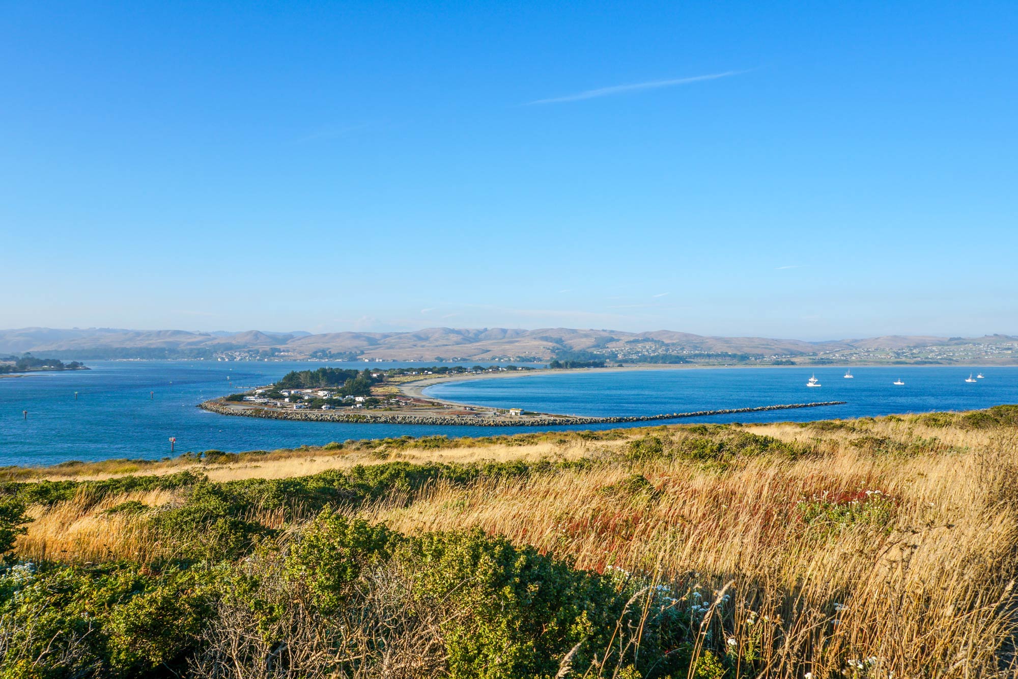  Fishing in Bodega Bay A Complete Guide