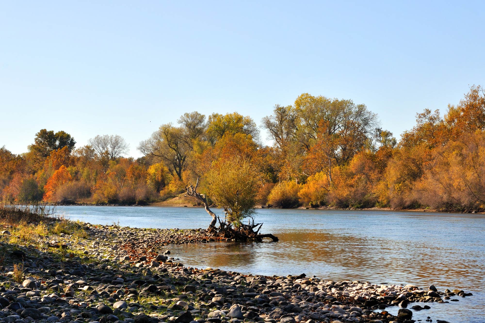 Sacramento River Fishing – All You Need to Know (Updated 2022)