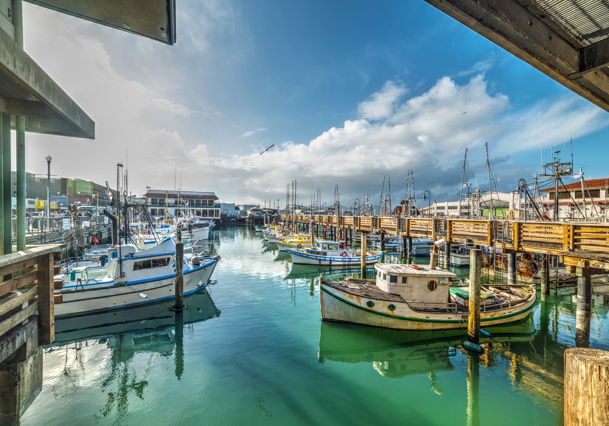 A fishing boat marina in San Francisco, with a lot boats moored on the clear water and blue skies 