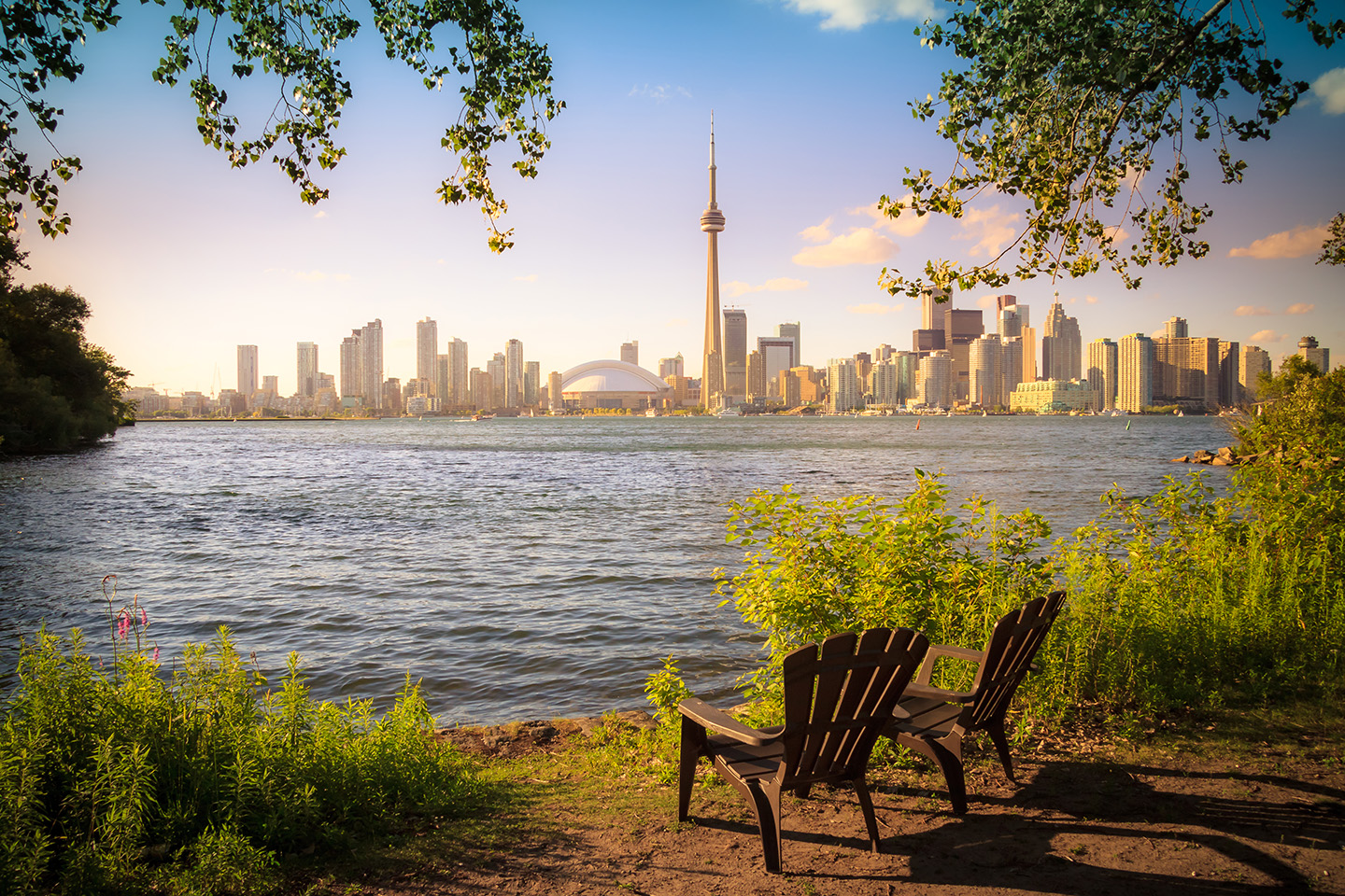 A picturesque view of Toronto at sunset, seen from Algonquin Island. Two benches look out onto the water, with trees hanging down above them.