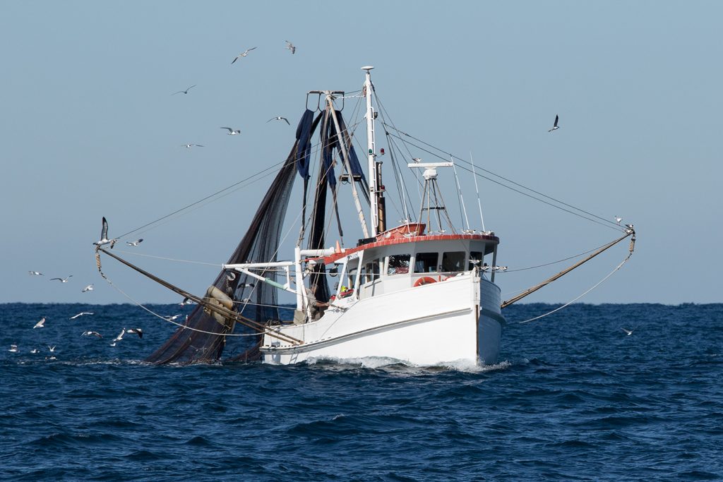 A white commercial Shrimp trawler boat pulling in its nets, with seagulls flying around behind it.