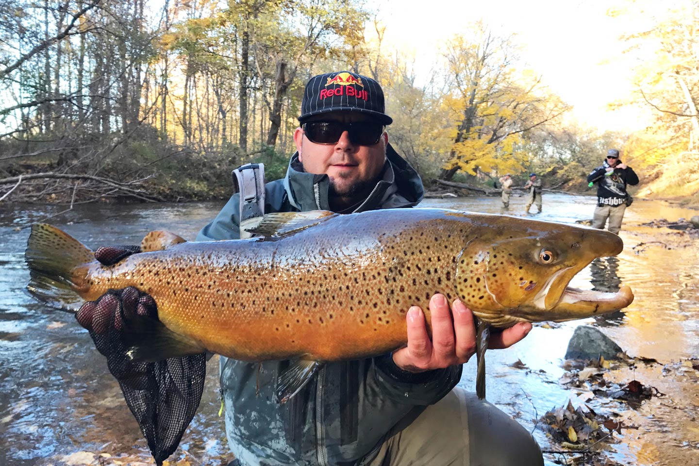 Lake Ontario Fishing A Complete Guide Gary Spivack