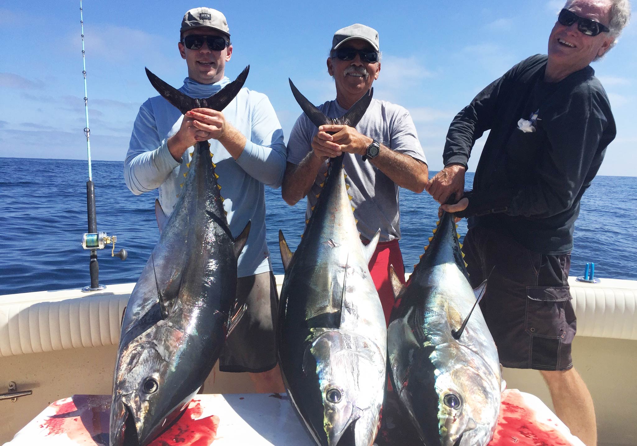 When Is Mackerel Season In California?