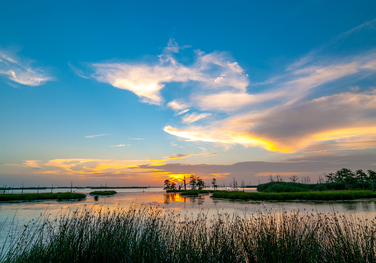 A view of the Louisiana wetlands at sunset, with grass in the foreground, water in the center, and sky in the distance.