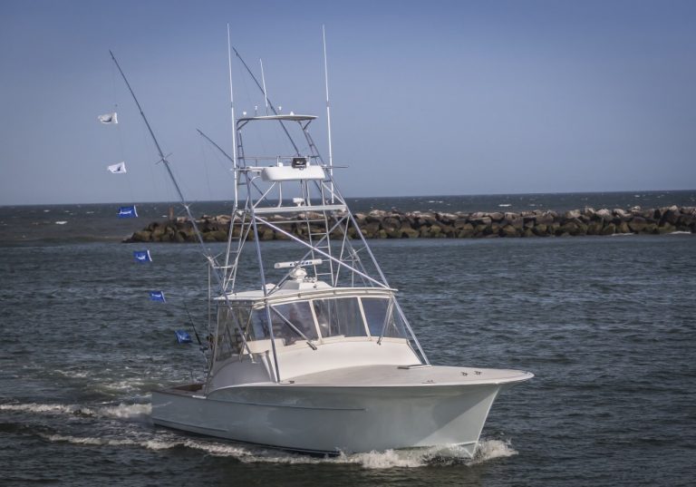 Virginia Beach Fishing The Complete Guide (Updated 2023)