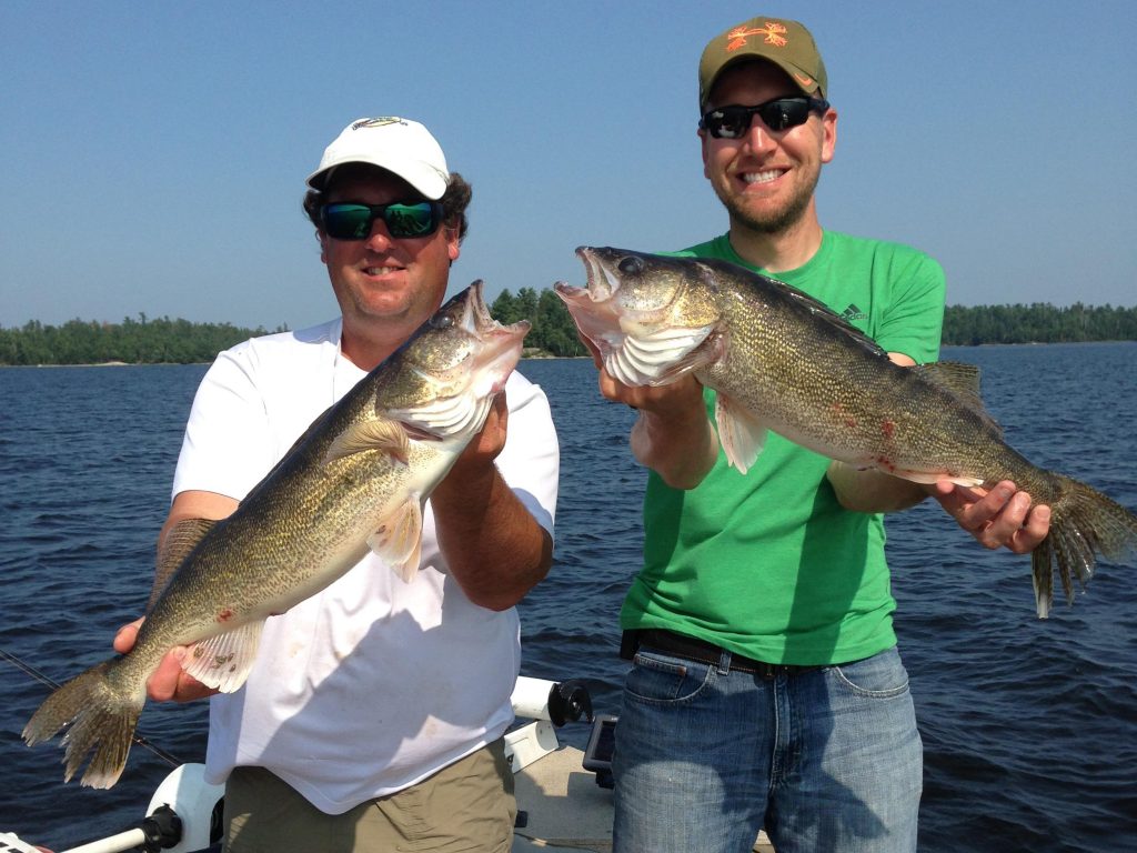 Two smiling anglers holding two large Walleye