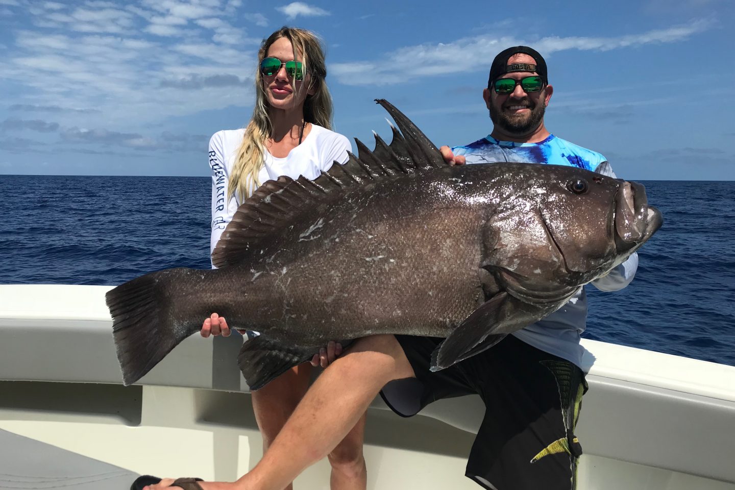 Types Of Grouper In Florida A Short Guide