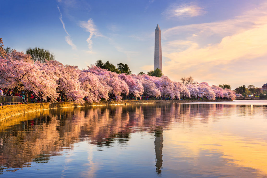 a skyline of Washington D.C., one of the best fishing cities in the U.S.