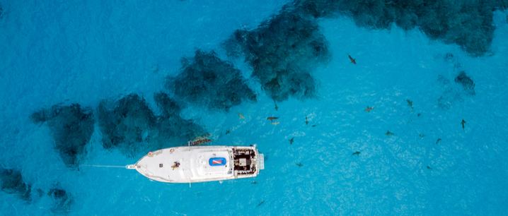 drone view of a fishing boat near game fish