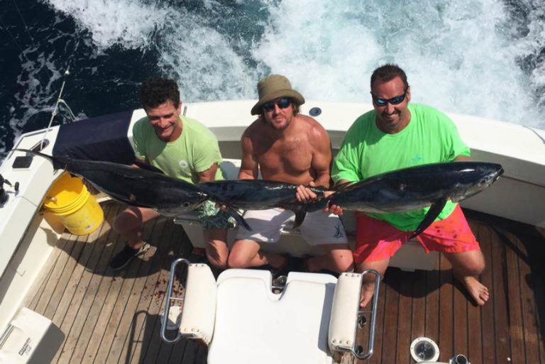 Aruba Fishing The Complete Guide (Updated 2023)