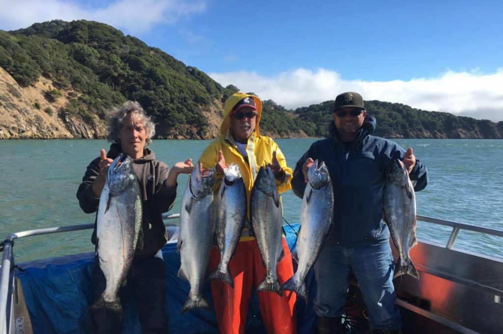 Three anglers holding their daily limit of Chinook Salmon in the Bay Area
