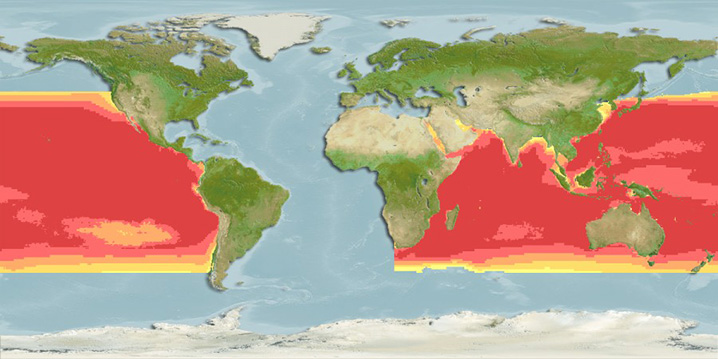 Carte thermique de l'habitat du marlin noir