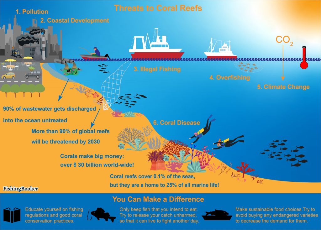 Coral Reef Conservation: A Treasure Worth Saving (Updated 2023)