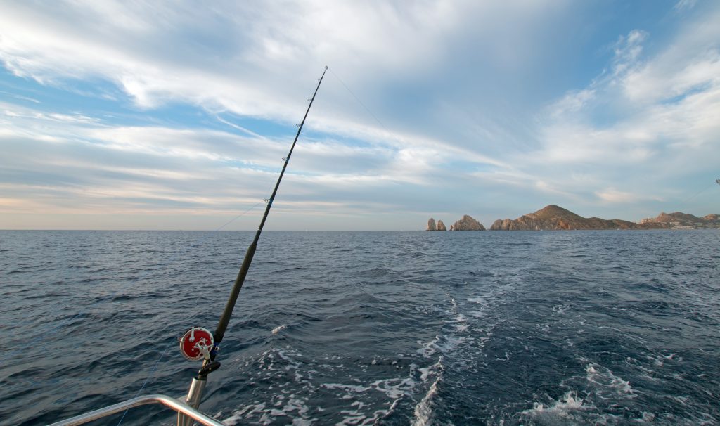 un barco de pesca, curricán cerca de cabo san lucas