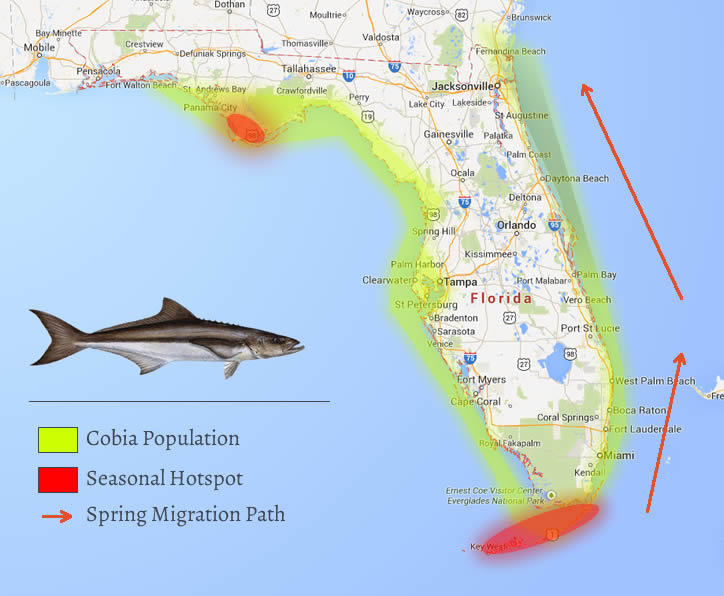 Florida Gulf Fishing Seasons Chart