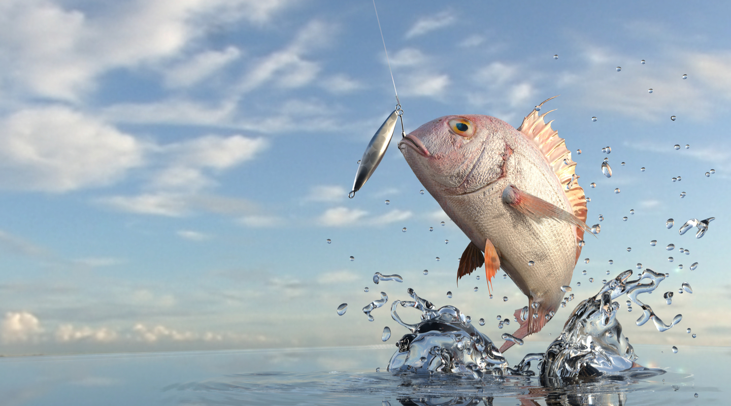 leaping snapper caught with a fishing lure