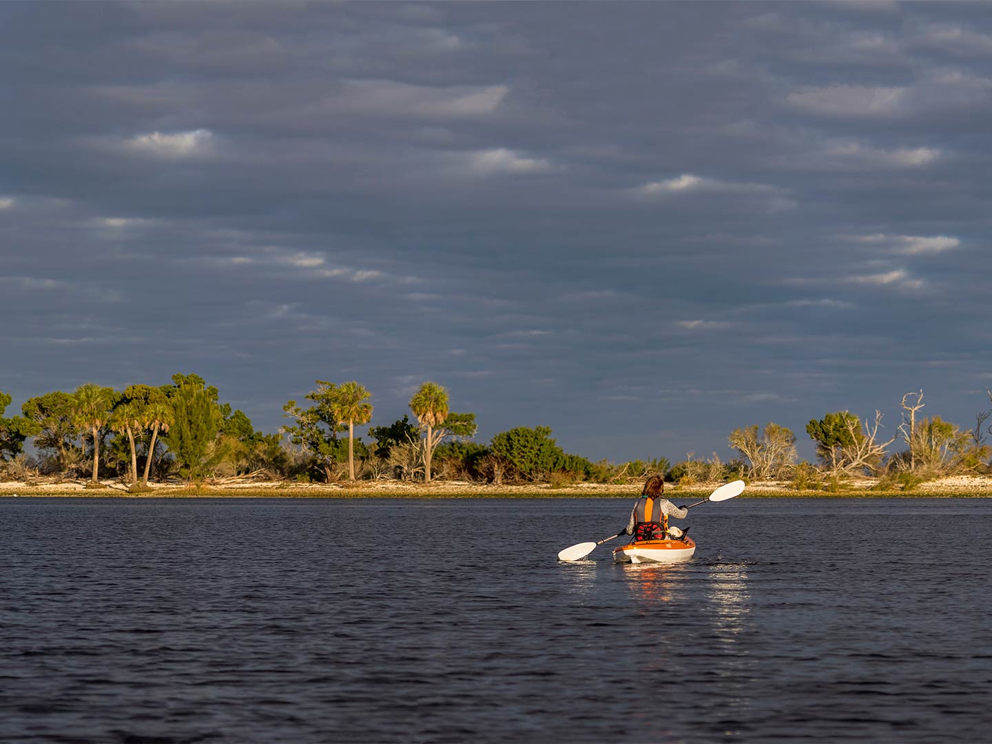 Homosassa Fishing The Complete Guide (Updated 2023)