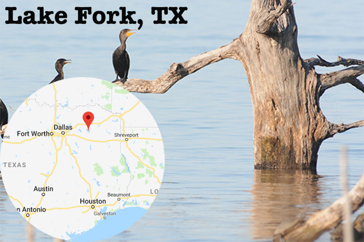 Two cormorants standing on a tree branch on Lake Fork, Texas. A map of the surrounding area had been added in the bottom left corner.